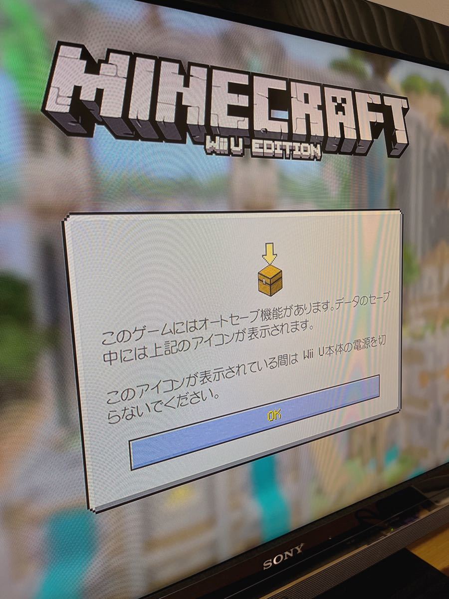 WiiU Minecraft マインクラフト ソフト