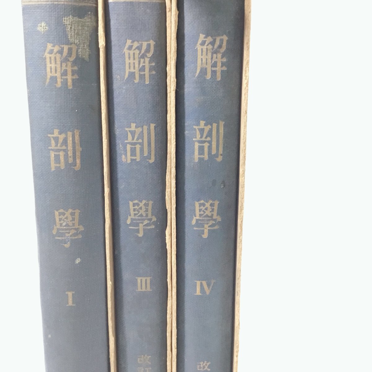 【中古本/CSH】医学書 まとめて 計3冊 解剖学　IM0425_画像2