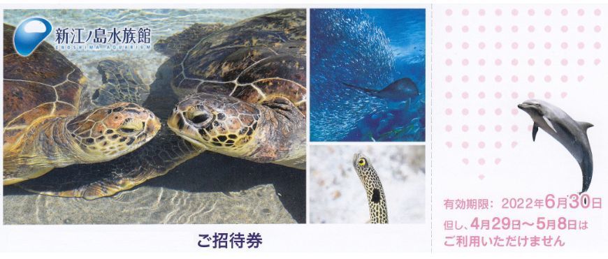 新江ノ島水族館 ご招待券 １枚　有効期限2022年6月30日まで_画像1