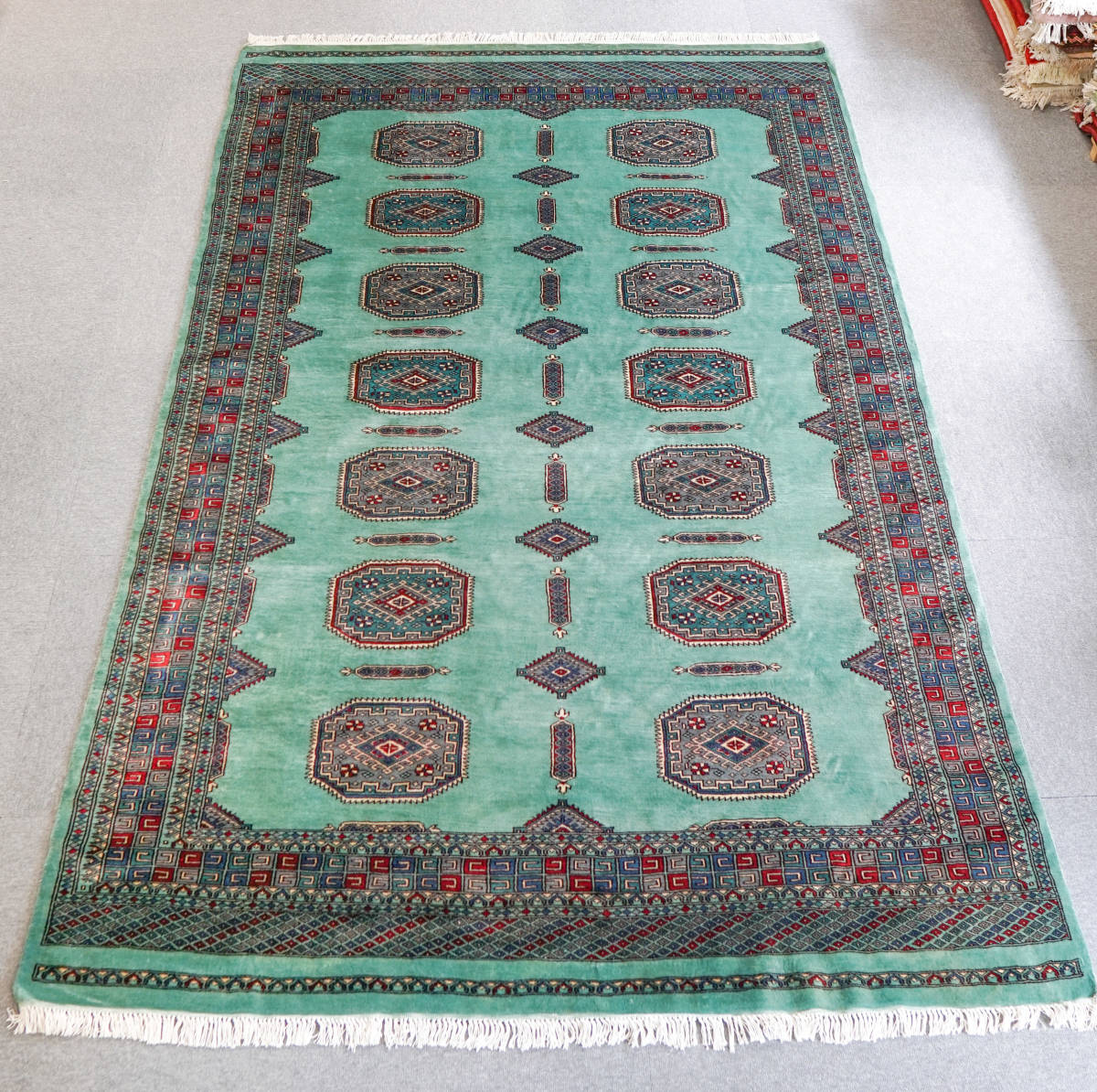 パキスタン手織り絨毯　ジャルダルデザイン size:239×155cm stn:2804