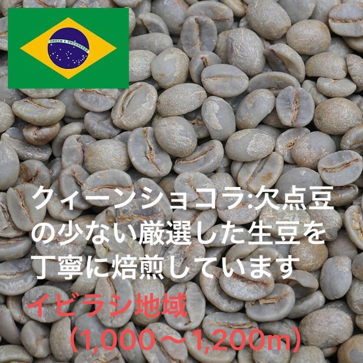 こだわりコーヒー豆　ブラジルNo.2　クィーンショコラ　500g 中深煎り自家焙煎珈琲　Qグレード84.33点