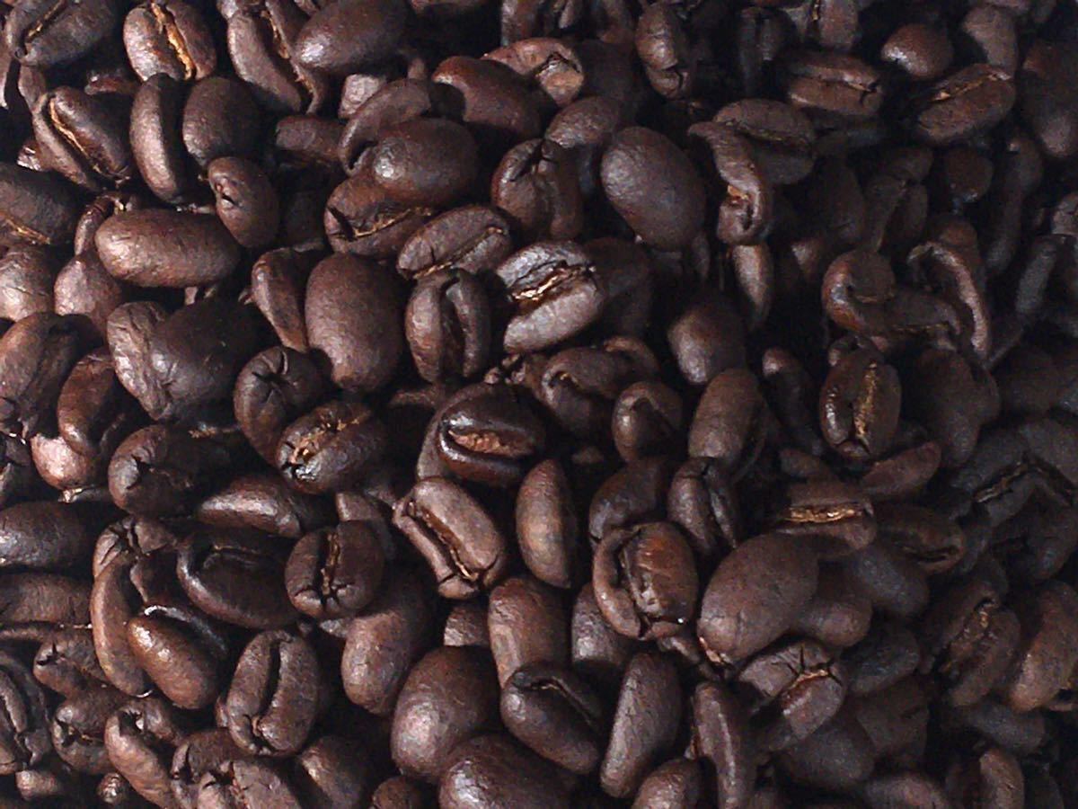 こだわりコーヒー豆　パプアニューギニア　タイガットスペシャル　500g 中深煎り　自家焙煎珈琲　Qグレード　エランドラ農園