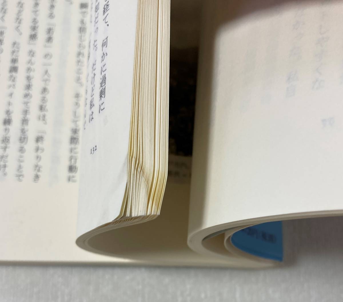 『ロスジェネはこう生きてきた』　平凡社新書　雨宮処凛　帯付き　就職氷河期世代　派遣切り　ワーキングプア　生きづらい_画像5