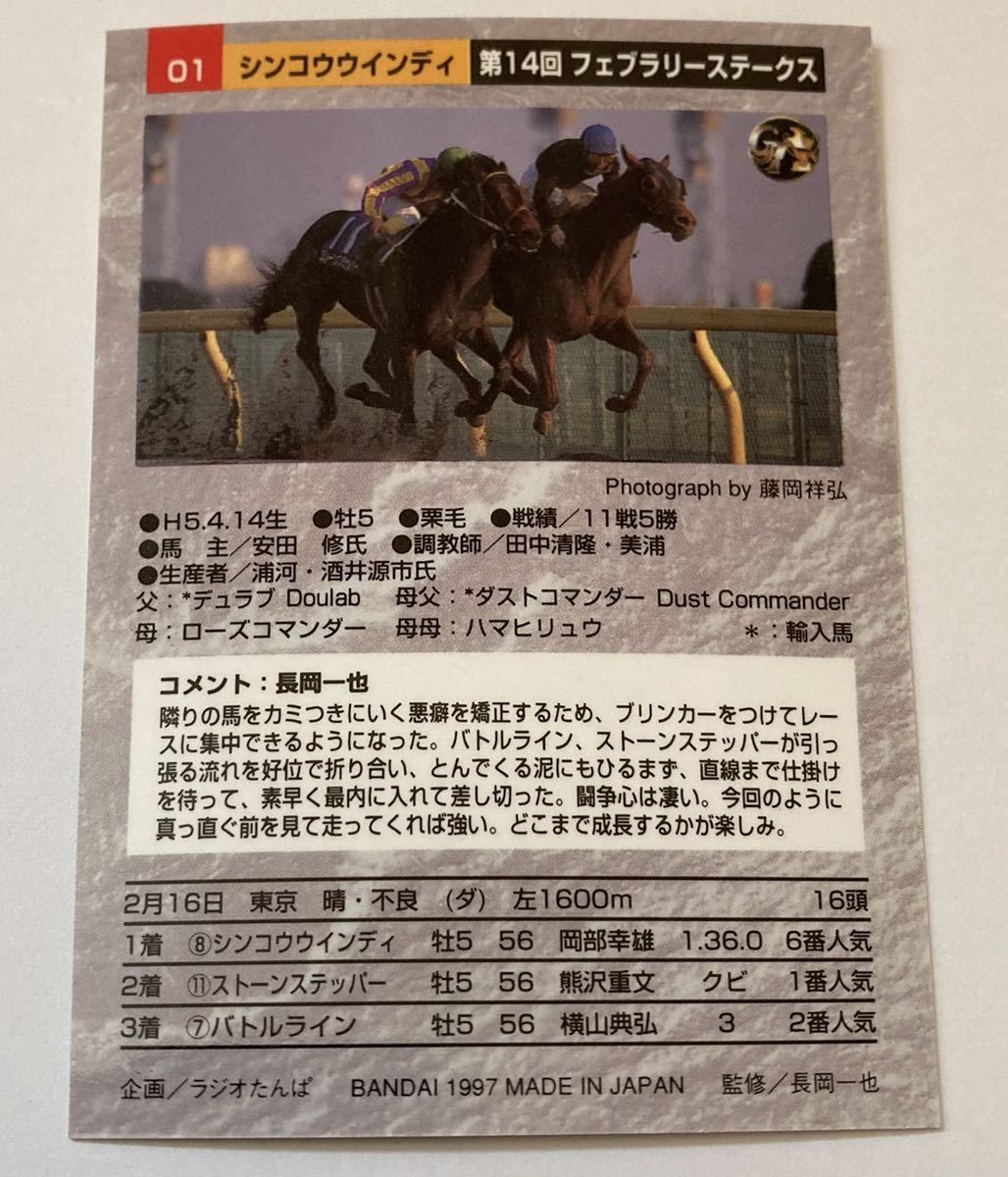 シンコウインディー 01 フェブラリーステークス バンダイ サラブレッドカード 97年 競馬 競馬カード 美品 ウマ娘_画像2
