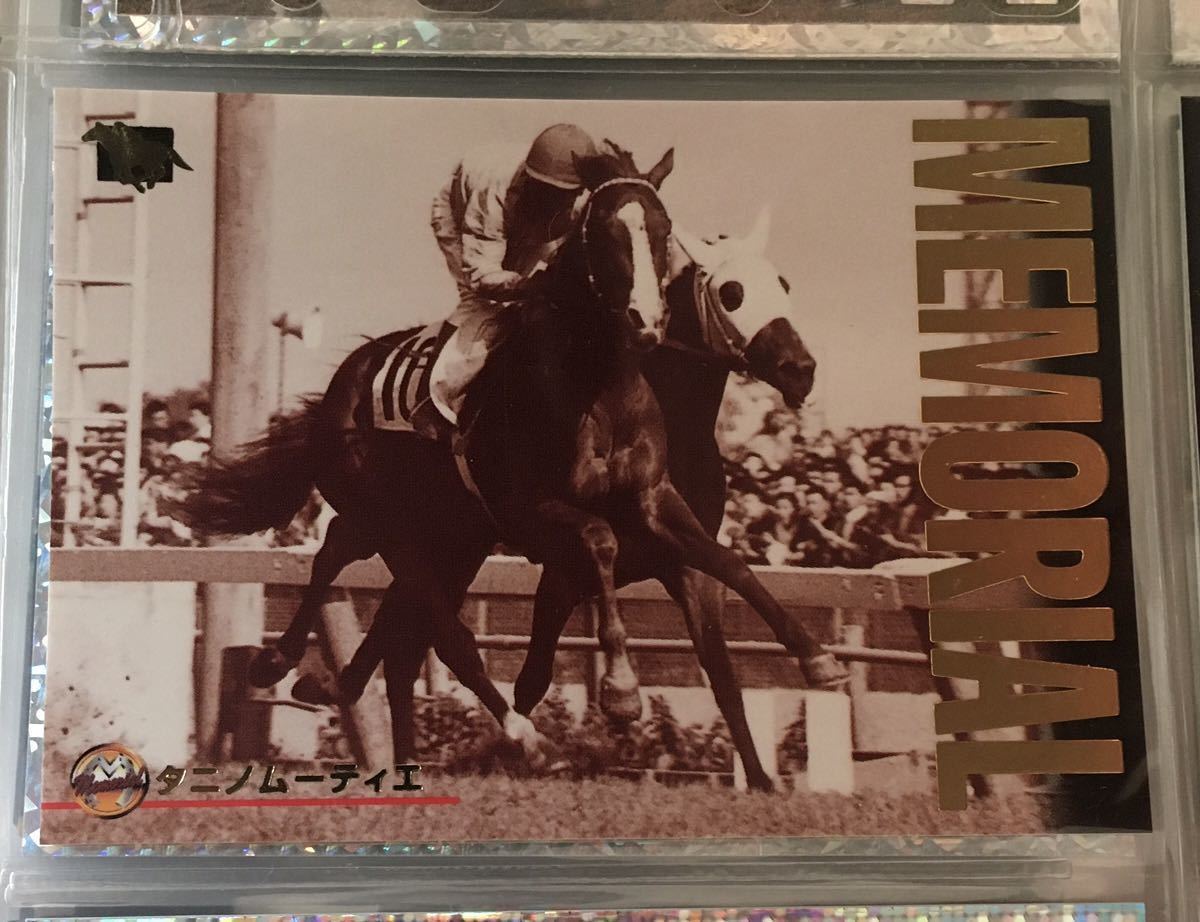 タニノムーティエ M-5 メモリアル バンダイ サラブレッドカード 97年 競馬 競馬カード 美品 ウマ娘_画像3
