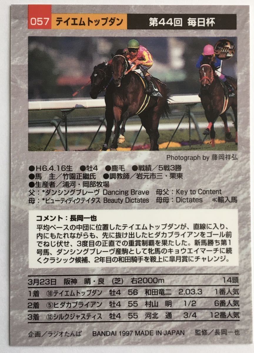 テイエムトップダン 057 毎日杯 バンダイ サラブレッドカード 97年 競馬 競馬カード 美品 ウマ娘_画像2