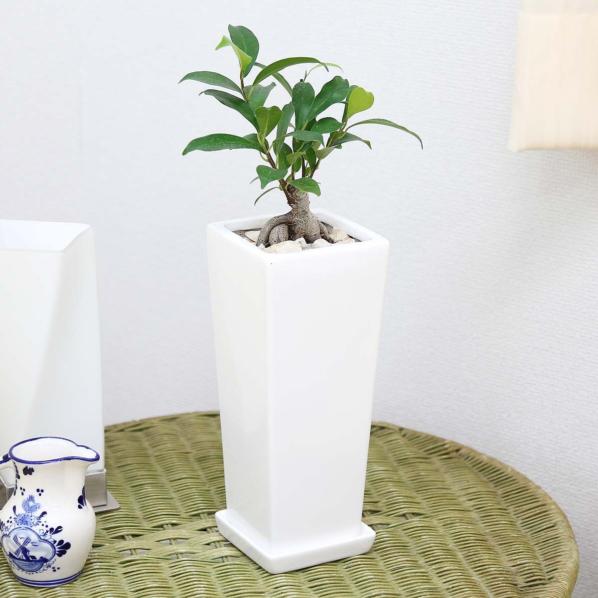  decorative plant ..... is said that ...gaju maru 5 number white ceramics pot strut + ceramics made. . plate attaching free shipping 