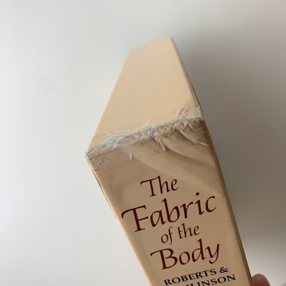 高質 European Body: the of Fabric The Traditions Illustration