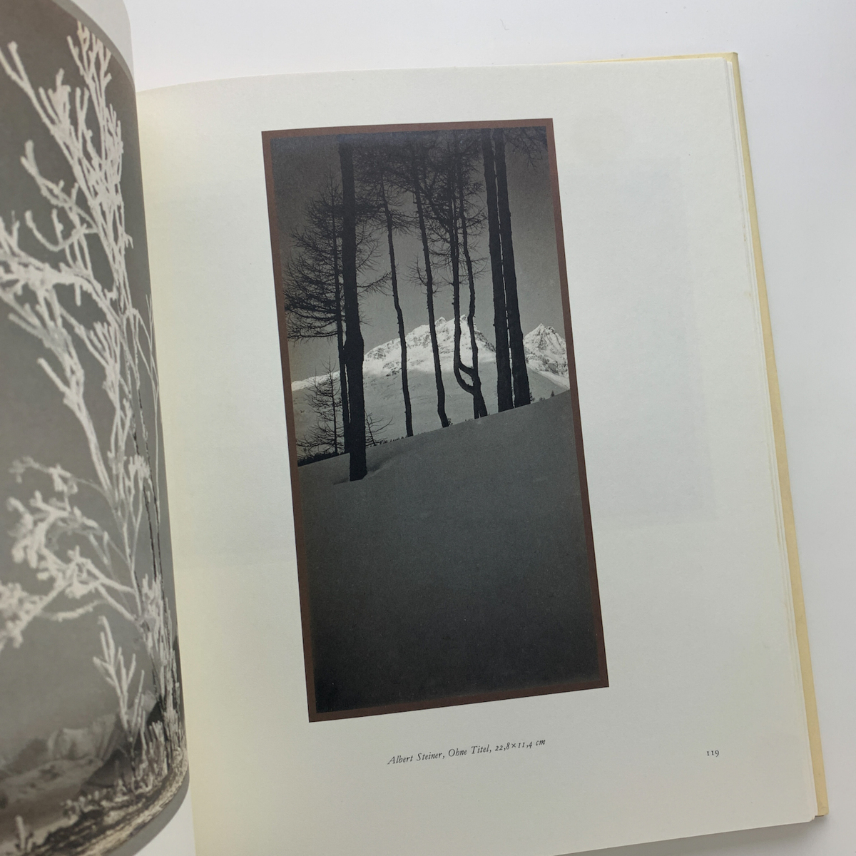 Du grosses stilles Leuchten　Albert Steiner (1877-1965) und die Bundner Landschaftsphotographie_画像5