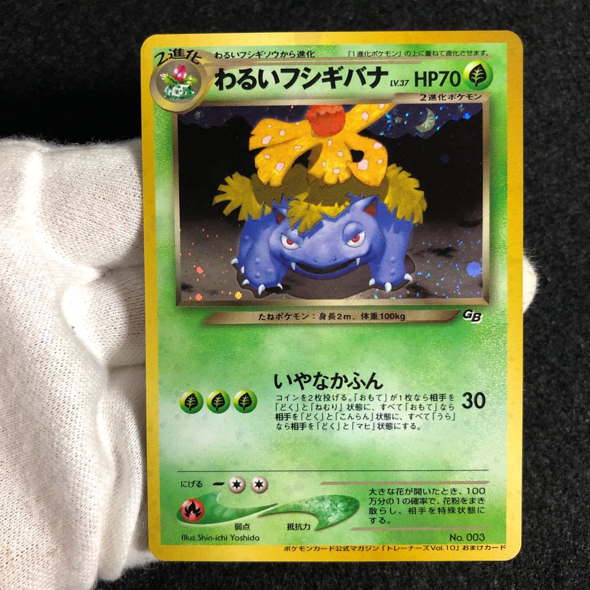 PSA8】ポケモン ポケカ イーブイ レジェコレ リバホロ 英語-