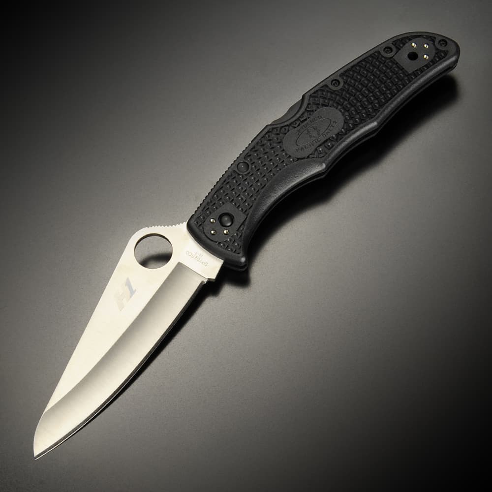 Spyderco 折りたたみナイフ PACIFIC SALT 2 直刃 フォールディングナイフ 折り畳みナイフ 折り畳み式ナイフ