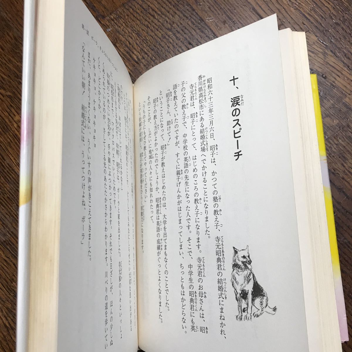 ありがとう盲導犬リチャード　日野 多香子（作）こさか しげる（絵）実業之日本社　[aa73]_画像4