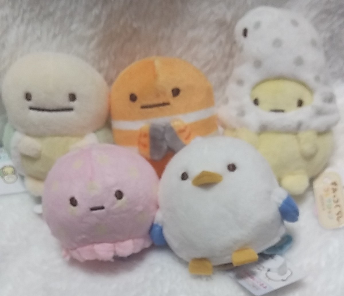 すみっコぐらし うみっこ てのりぬいぐるみ 5体セット ☆チンアナゴ