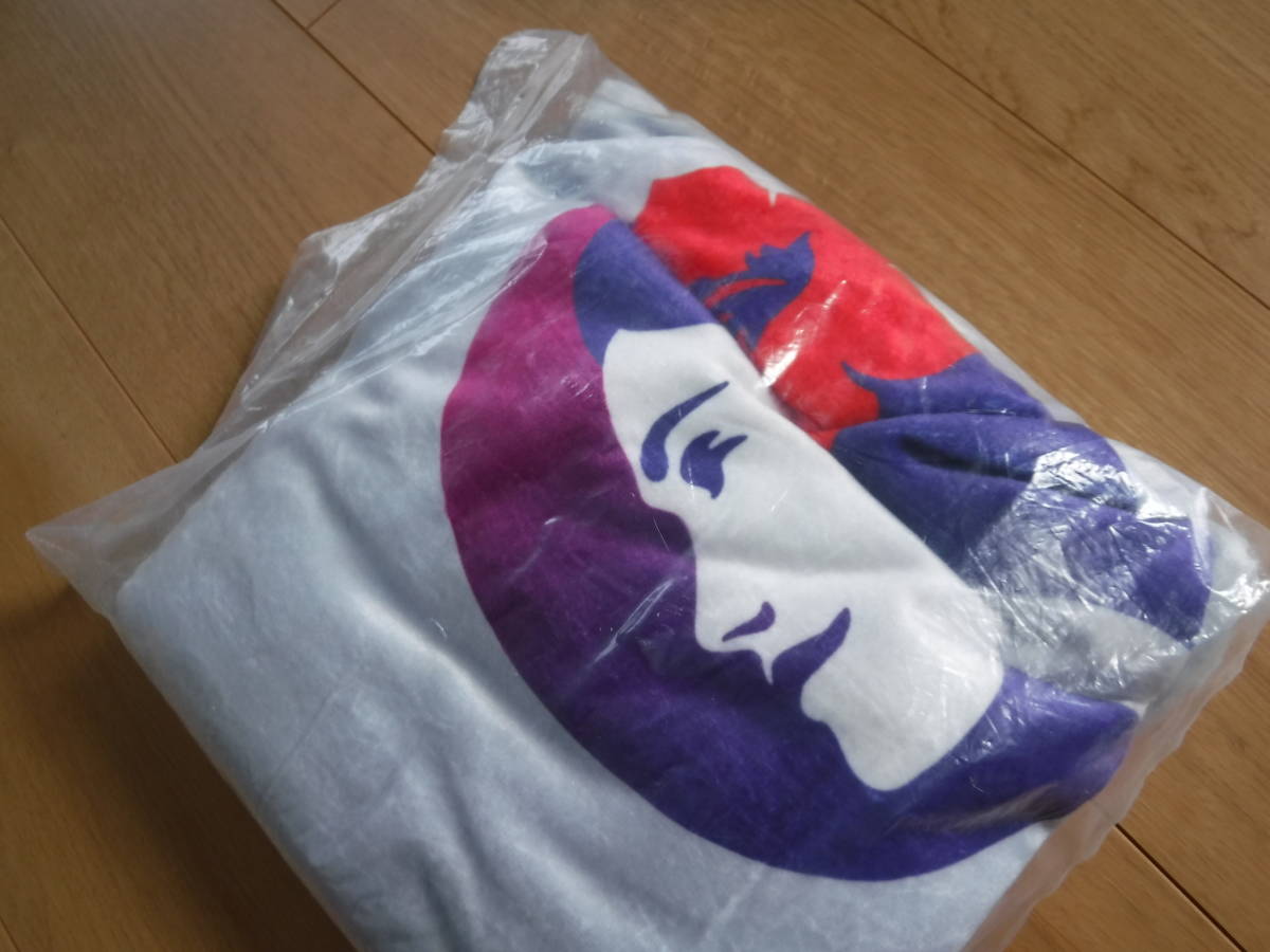 税不要特価 レア 新品袋入!HAWAIIAN AIRLINES ハワイアンエアラインズ ハワイアン航空 大きめマーク＆ロゴ ブランケット♪大