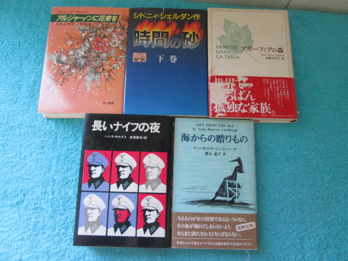 海外の小説　5冊セット　タイトルは写真を参照　０６－０５２３（B)_画像3
