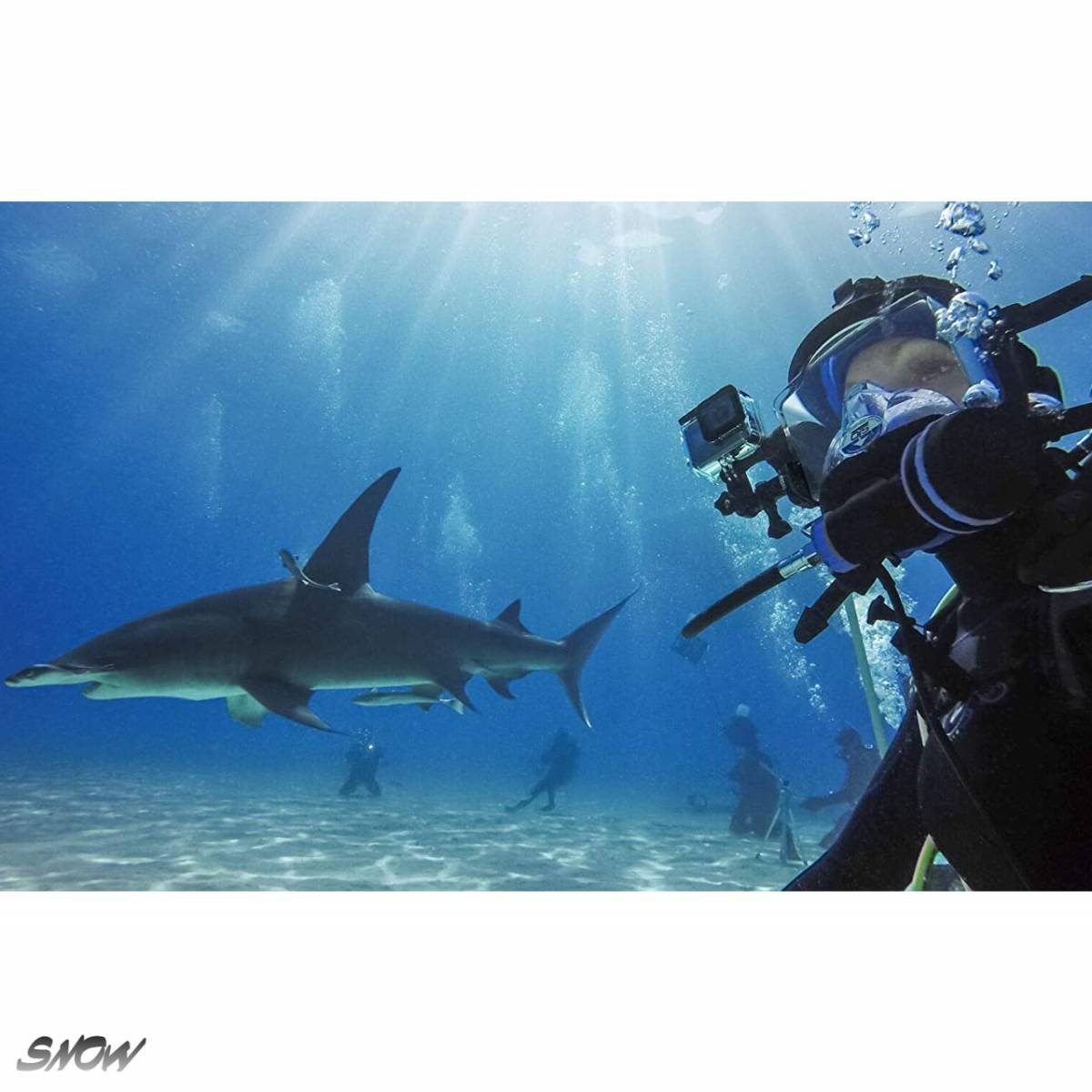 国内正規品 Gopro公式 ダイブハウジング For Hero8 ブラック 頑丈 泥やゴミなどから保護 水深60mまでの防水性 深い水中でのダイビングに Jarrakpos Com 国内正規品 Gopro公式 ダイブハウジング For Hero8 ブラック 頑丈 泥やゴミなどから保護 水深60mまでの防水性 深い水中でのダイビングに Jarrakpos Com