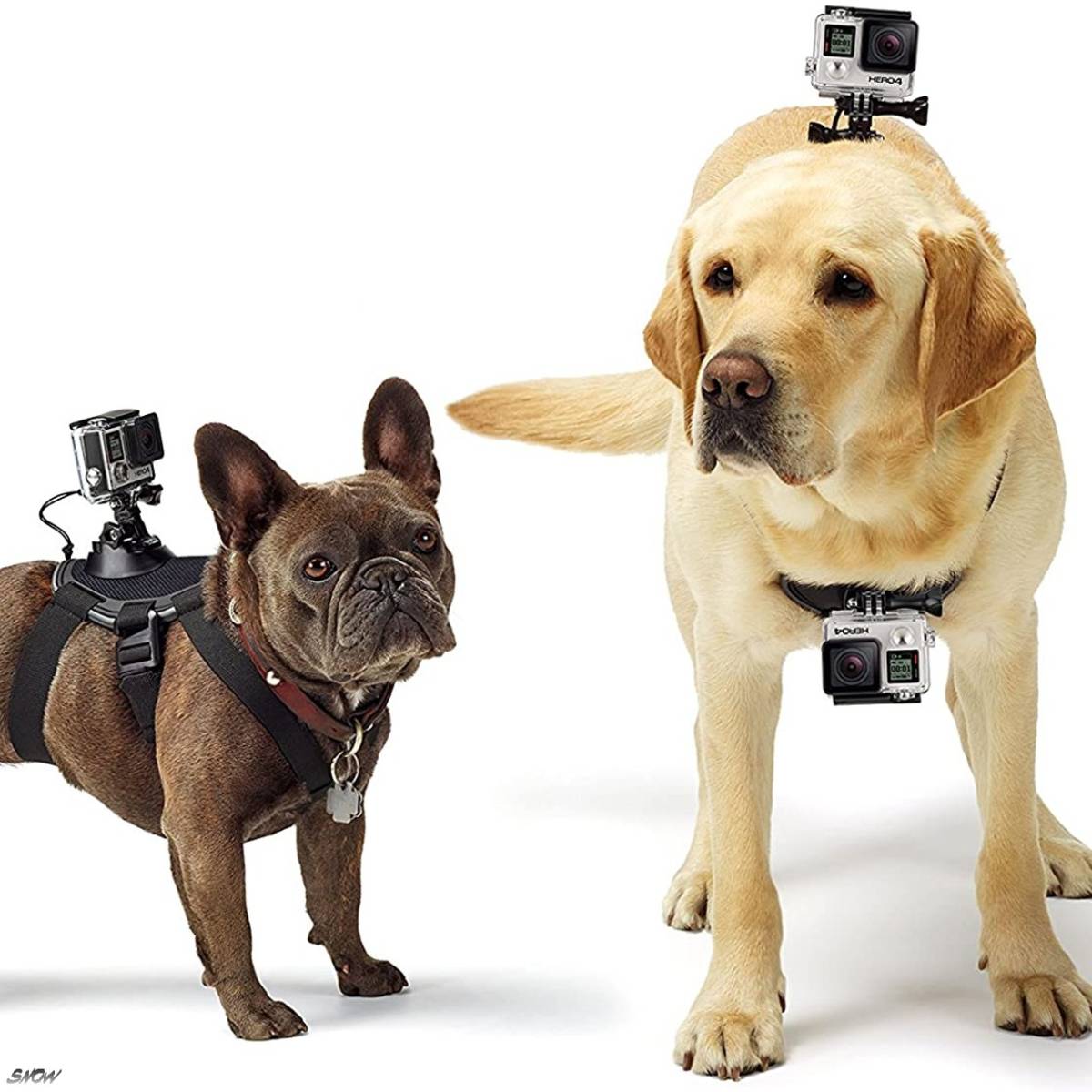 国内正規品 GoPro公式 Fetch ドッグハーネス 愛犬目線で世界を写す 体重7kg-50kgまで ソフトパッド入りで快適 水に濡れても大丈夫 洗濯可