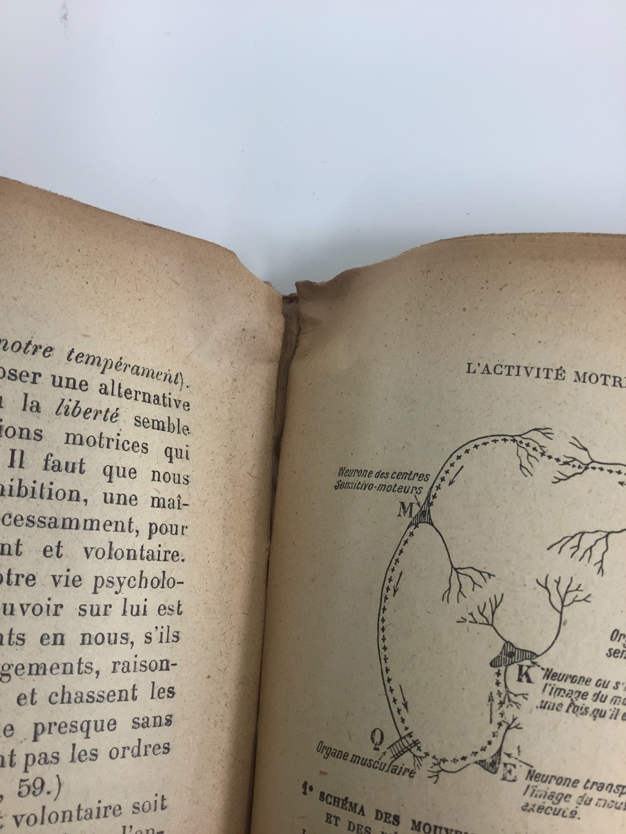 Psychologie иностранная книга / французский язык психология / старинная книга /1911 год выпуск [ta03h]