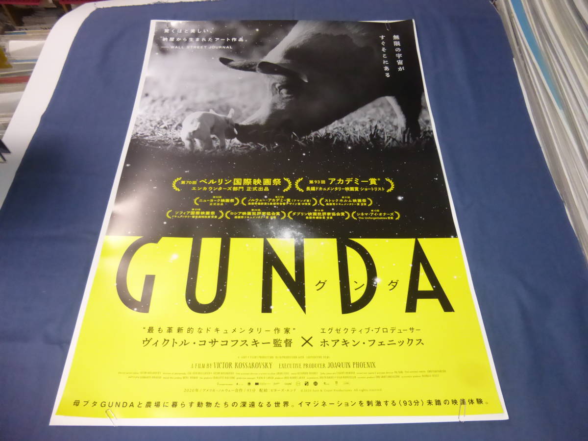 B2映画ポスター「GUNDA／グンダ」ホアキン・フェニックス　２０２１年　農場ドキュメンタリー　豚_画像1