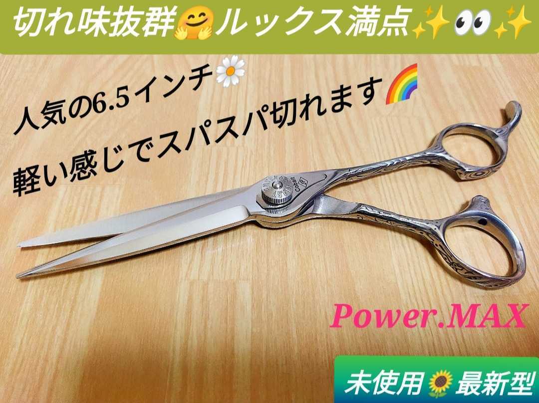 多様な ✨切れ味抜群✨プロ用✨カットシザーハサミ美容師サロン理容師