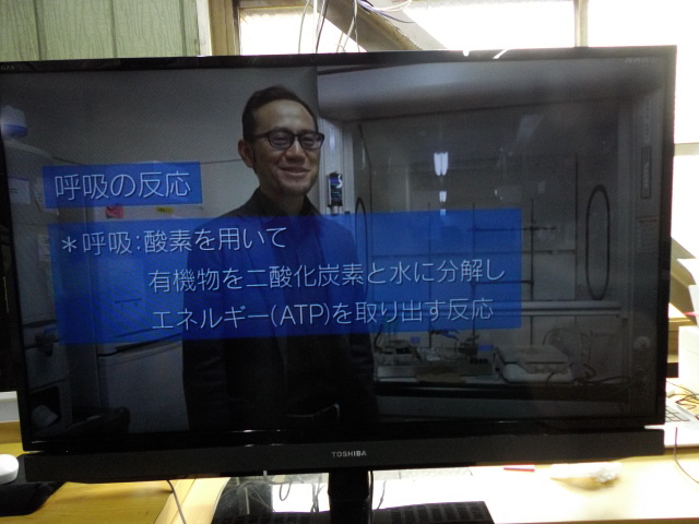 Yahoo!オークション - S # TOSHIBA 東芝 REGZA 液晶カラー Yahoo!オークション - S # TOSHIBA 東芝 REGZA 液晶カラー