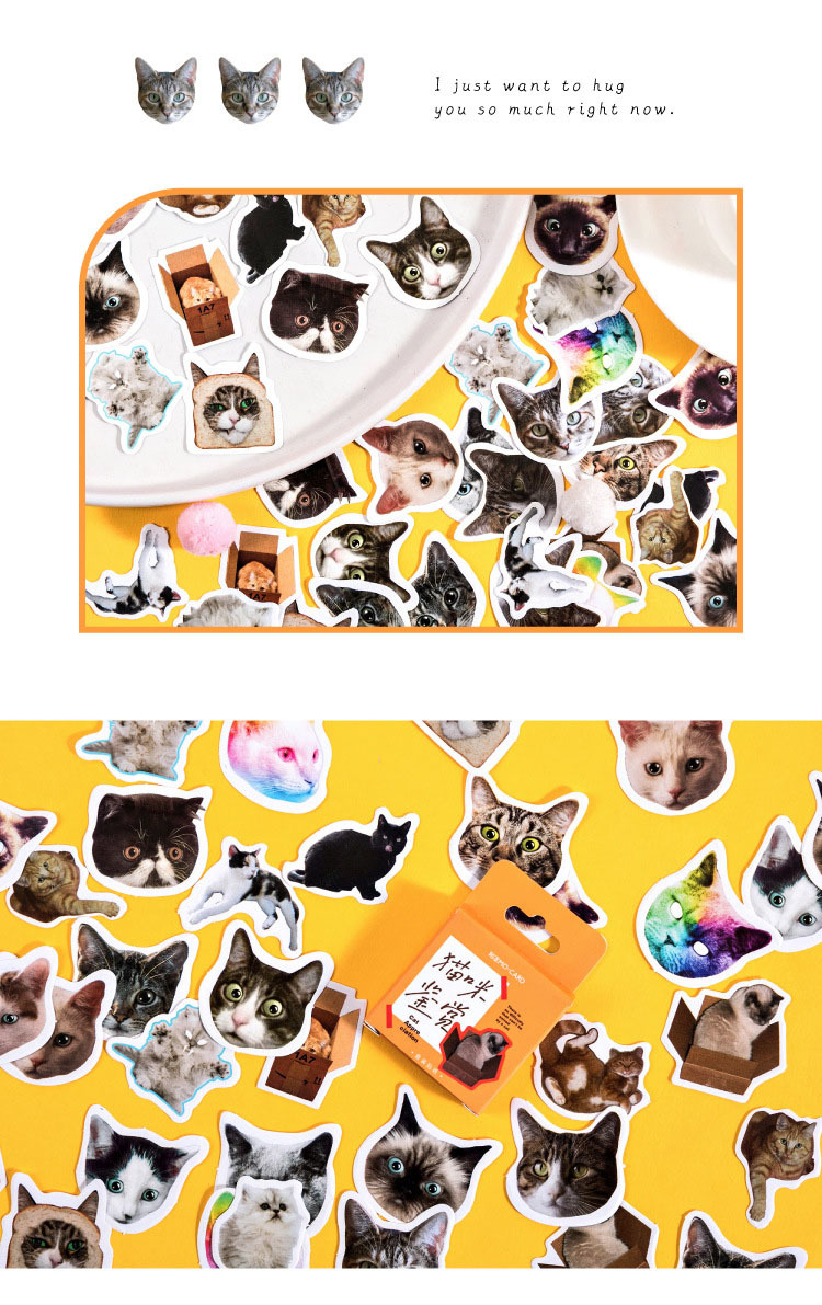 フレークシール♪猫　かわいいネコ　面白いねこ　猫フェイス　46枚入り　ステッカー　送料63円_画像4