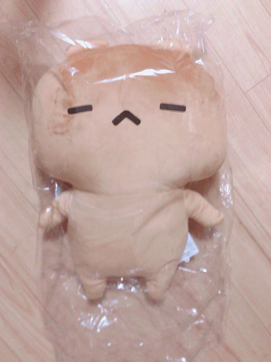 新品 受注生産 愛しすぎて大好きすぎる にゃんことくま もちもち 新品 受注生産 愛しすぎて大好きすぎる にゃんことくま もちもち
