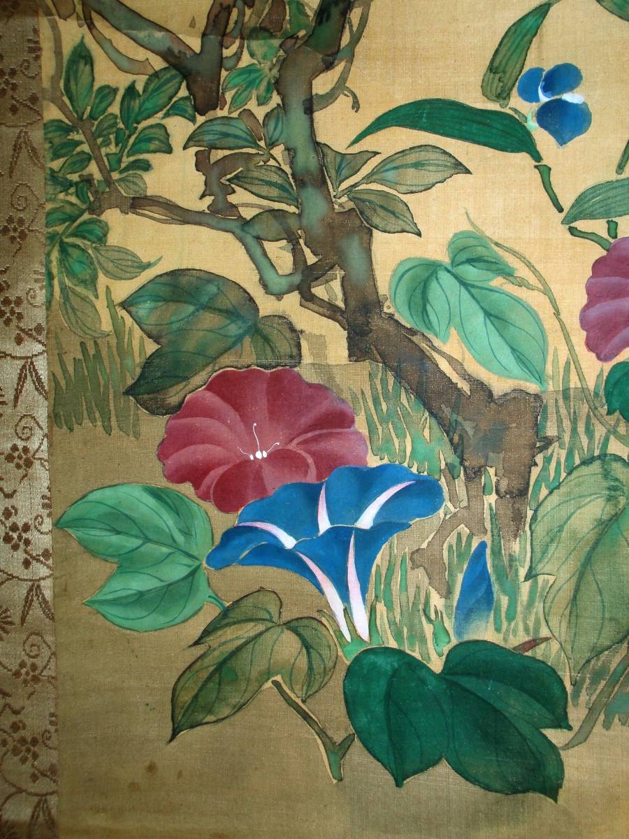 真作】酒井抱一 花鳥図 掛軸 | normanhubbard.com