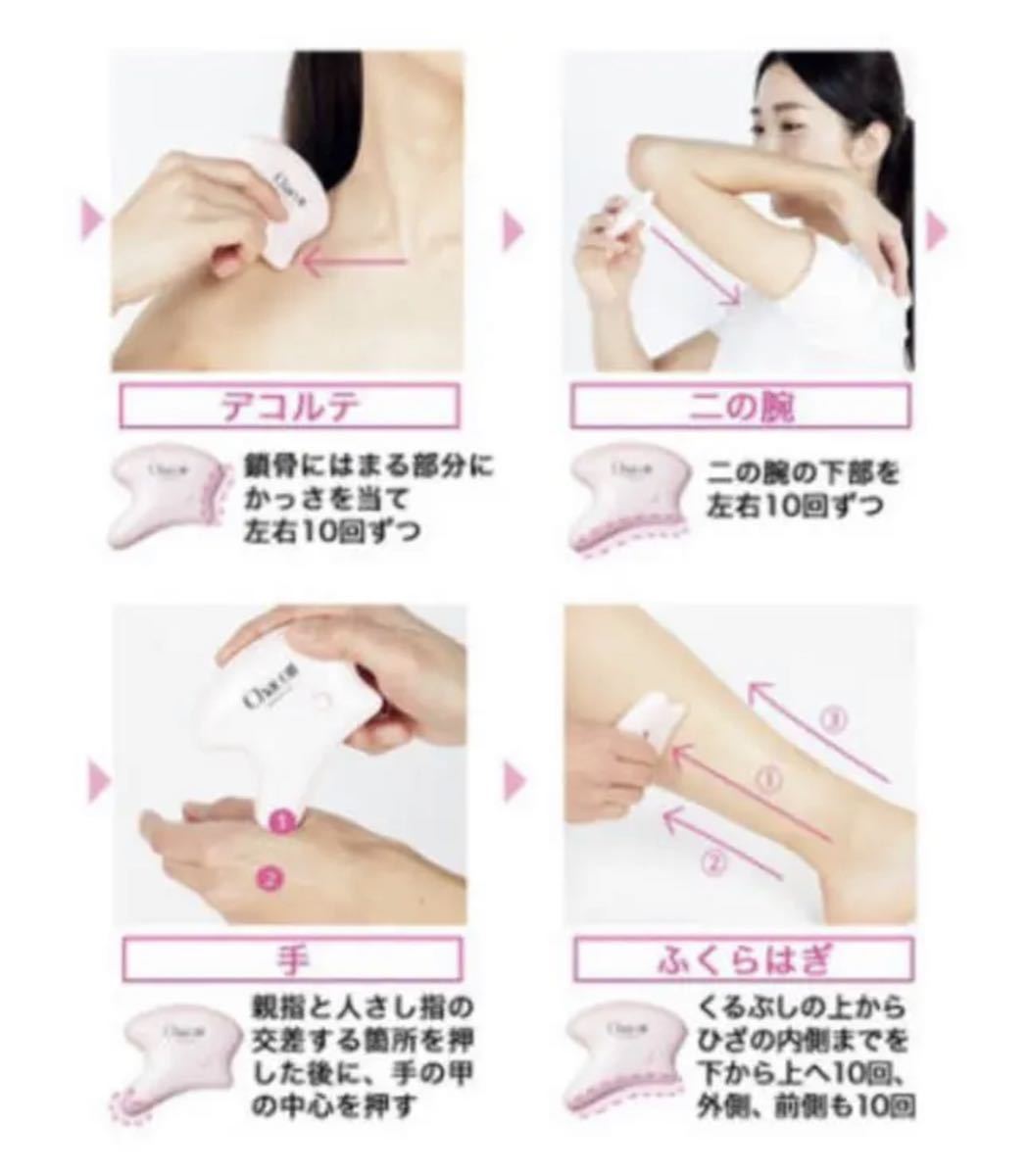 Rosy アンドロージー 付録 Chacott 電動カッサ 2個セット 割引価格 Rosy アンドロージー 付録 Chacott 電動カッサ 2個セット 割引価格