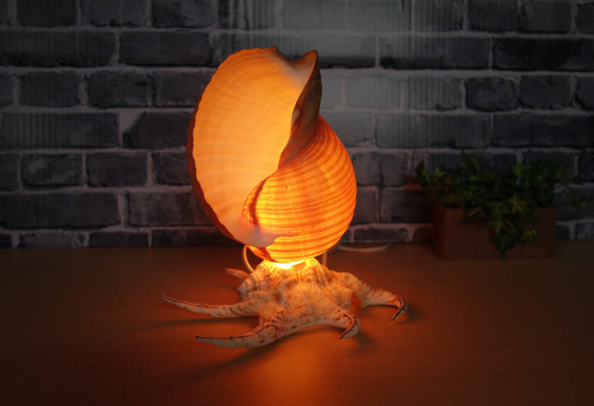 *GW sale * free shipping! prompt decision!* rare * lamp shell skill to coil . interior Asian miscellaneous goods Philippines direct import lighting room lamp 
