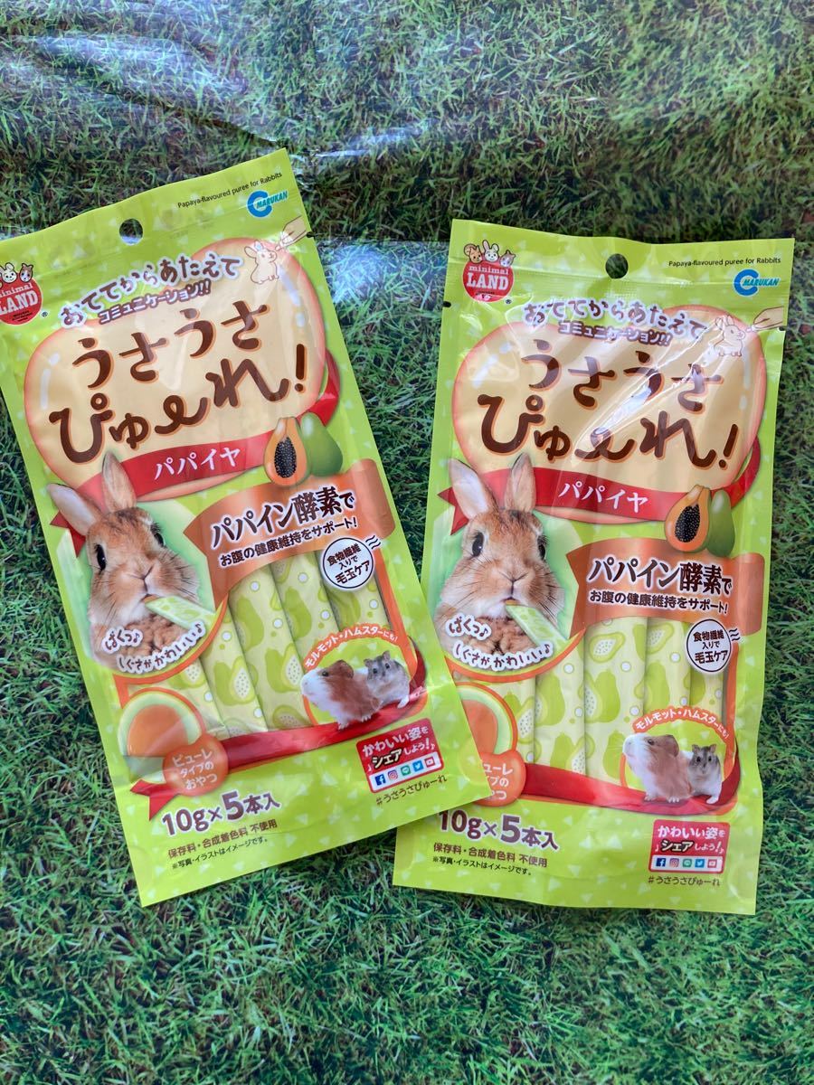 受賞店 うさうさぴゅーれ パパイヤ 5袋セット atak.com.br 受賞店 うさうさぴゅーれ パパイヤ 5袋セット atak.com.br