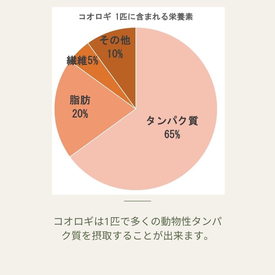 【お試しパック 3種類×2本セット】コオロギプロテインバー/昆虫食/クリケット/タンパク質スポーツベジタリアヴィーガン自然食品ダイエット_画像5