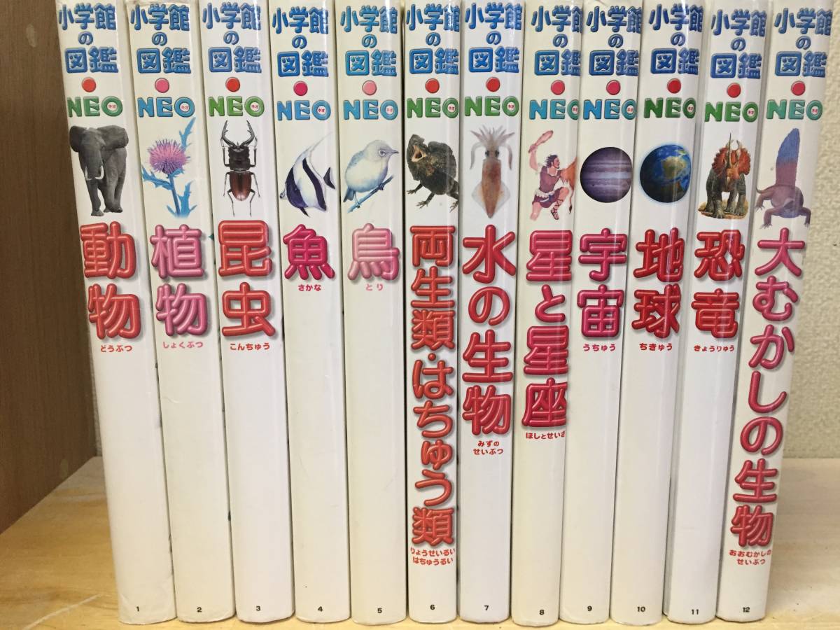 人気ブランド新作豊富 小学館の図鑑NEO/ネオ 1～13巻 13冊セット 