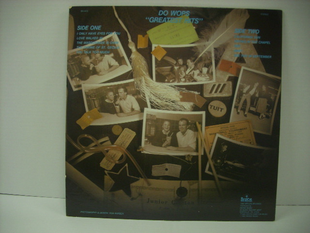 ■LP DO WOPS / GREATEST HITS ドゥーワップス グレーテストヒッツ ドゥーワップ名曲カバー 1982年 ◇r31208_画像2