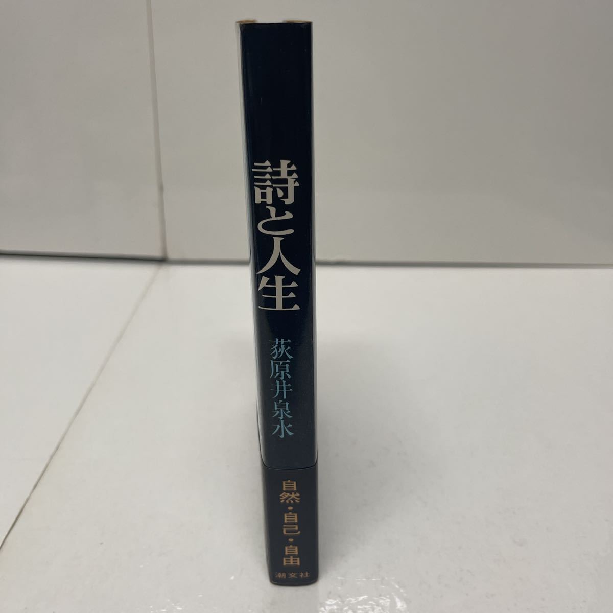 詩と人生 萩原井泉水（著） 潮文社 昭和47年 初版_画像2