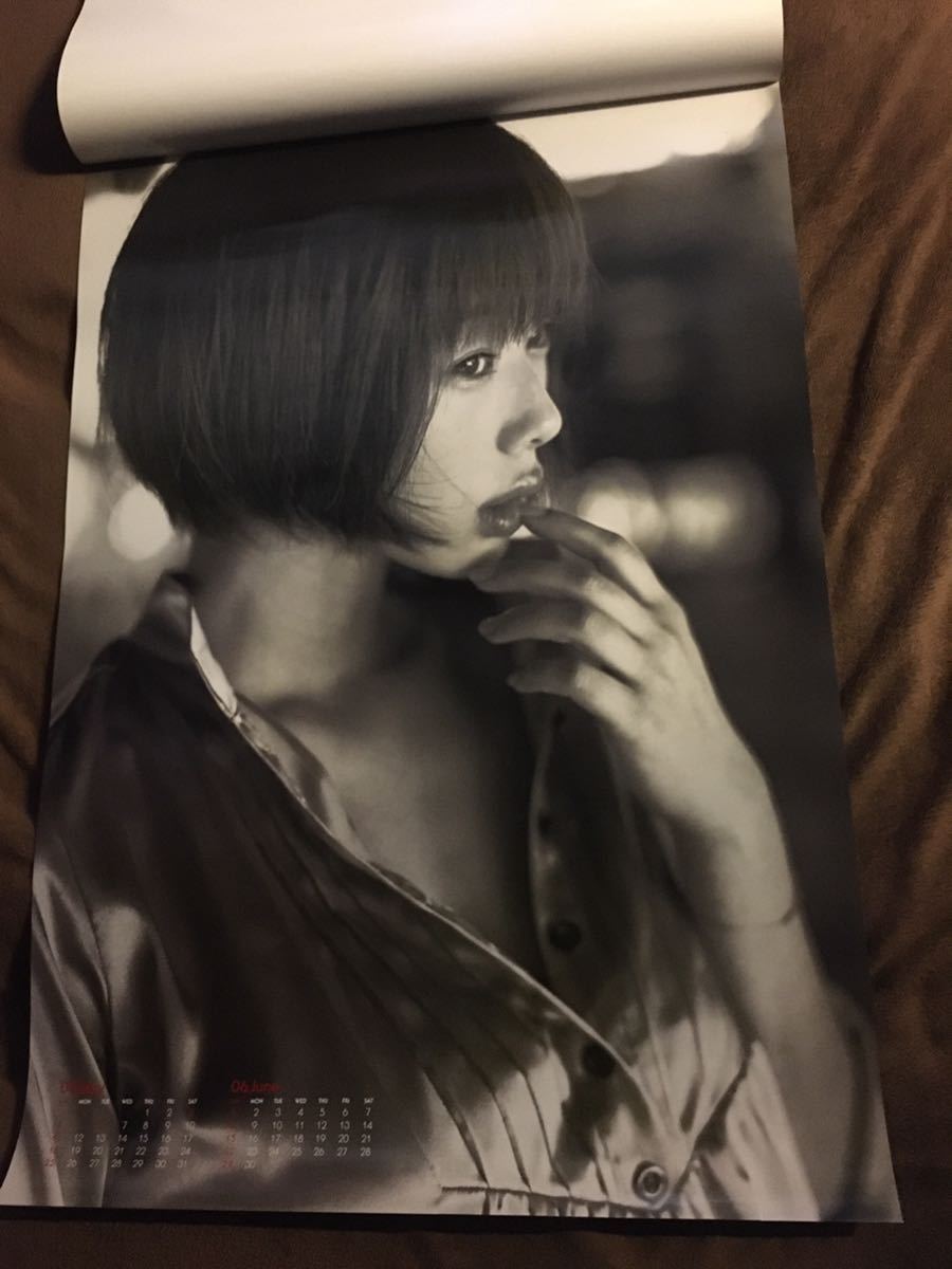  Inoue Waka 2008 autographed calendar 