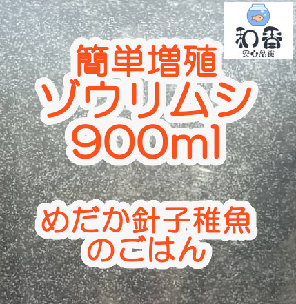 即給餌OK★ゾウリムシ 種水900ml★沢山湧いてます★ めだか グッピー ベタ 金魚 の稚魚 ビーシュリンプ 生餌に最適 ミジンコクロレラ_★沢山湧いています★