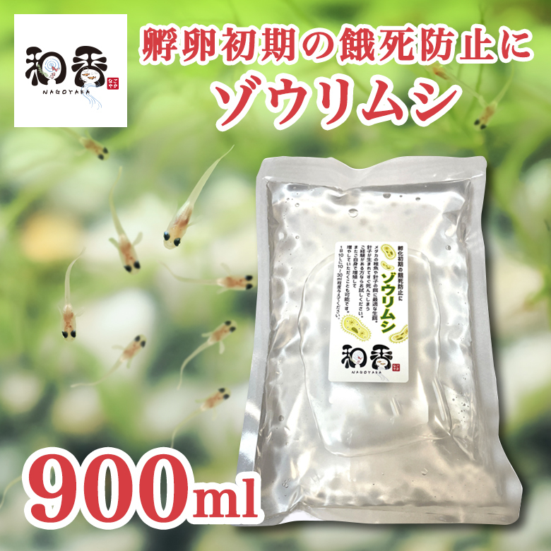 送料無料★ゾウリムシ 種水900ml★ めだかグッピーベタ金魚の稚魚ビーシュリンプの生餌 ミジンコクロレラPSB同梱可_★沢山湧いています★