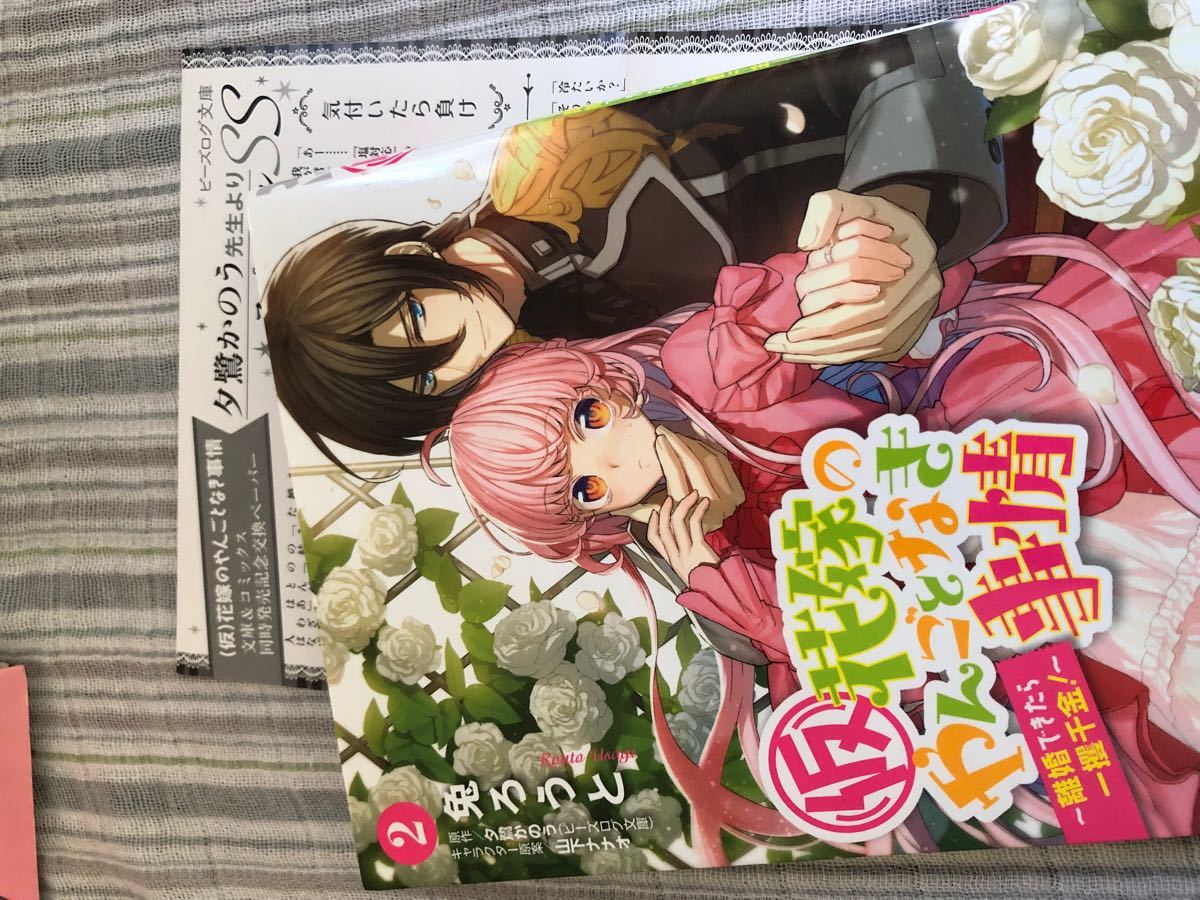 コミック2冊セット　(仮)花嫁のやんごとなき事情 離婚できたら一攫千金!