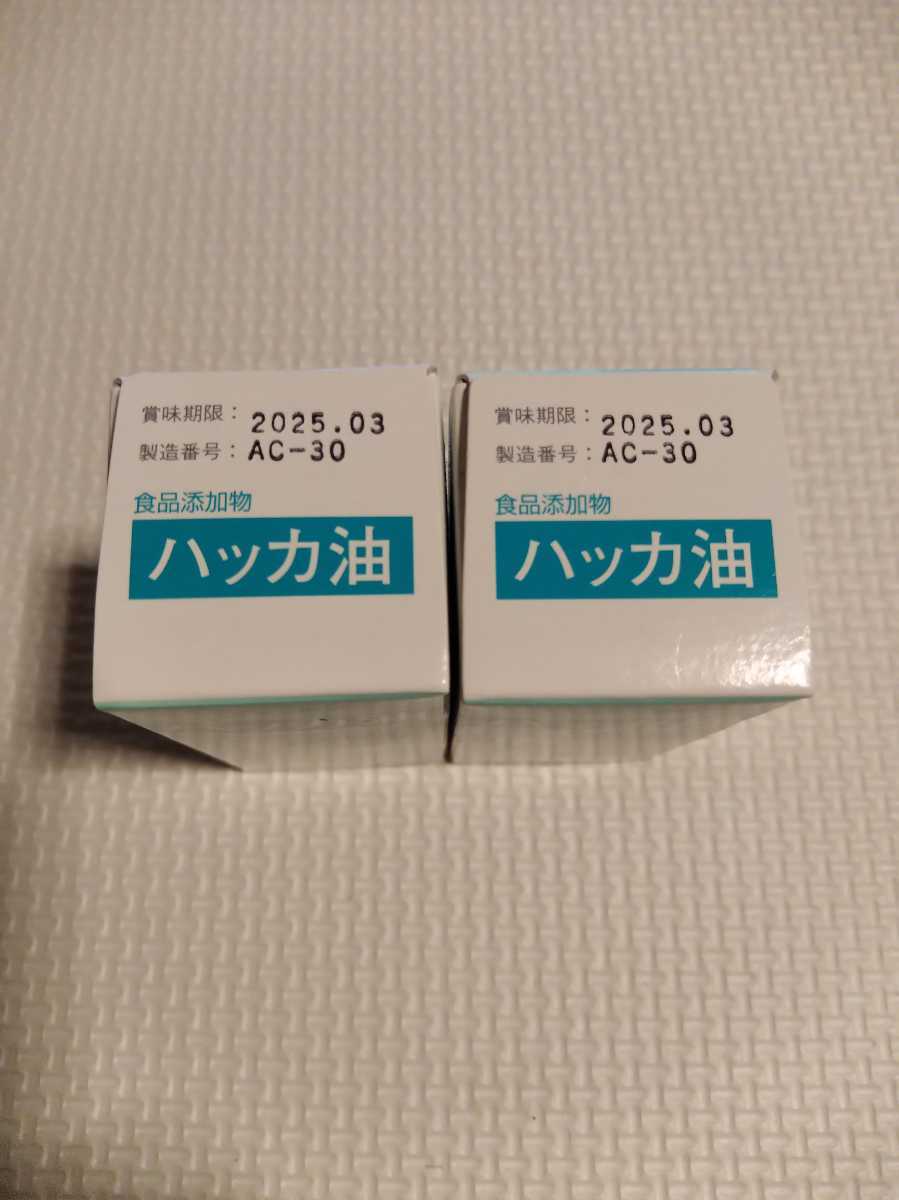 大洋製薬　ハッカ油　20ml 2箱　食品添加物　ハッカ香料　賞味期限202503　★1円スタート！_画像2