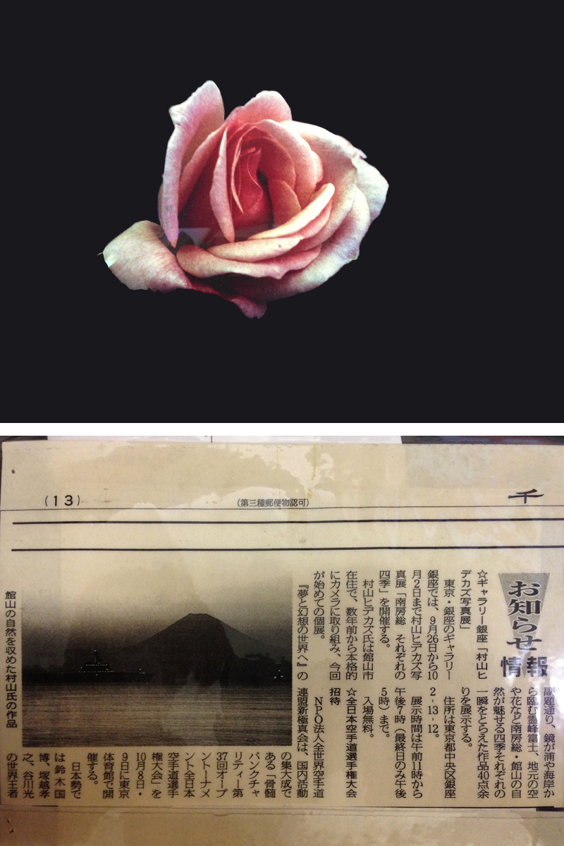 [ limited goods ]! *Hidekazu,M / A2 / rose / rose / Rose / amount attaching / original print 17/5_1