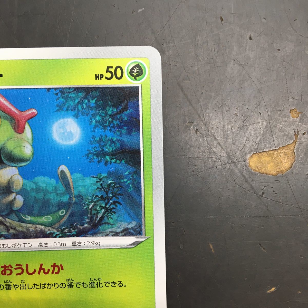 即決 キャタピー てきおうしんか s1a D 001/070 C ポケモンカード ポケカ カード_画像3