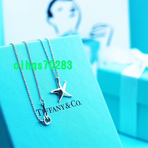 新品 未使用 TIFFANY &Co ティファニースターフィッシュ 新品 未使用 TIFFANY &Co ティファニースターフィッシュ
