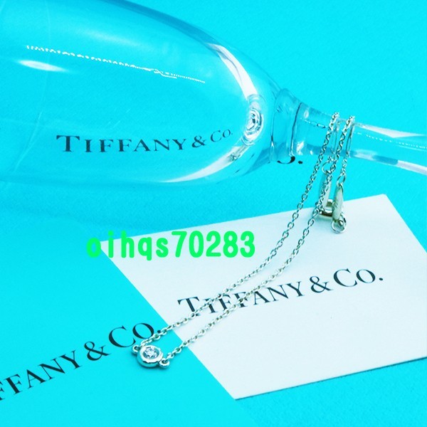 新品 未使用 TIFFANY &Co. ティファニーカラーバイヤザード
