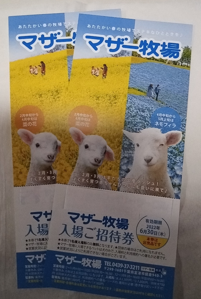 マザー牧場招待券ペア 2枚 c(関東)|売買されたオークション情報、yahooの商品情報をアーカイブ公開 - オークファン(aucfan.com) マザー牧場招待券ペア 2枚 c(関東)|売買されたオークション情報、yahooの商品情報をアーカイブ公開 - オークファン(aucfan.com)