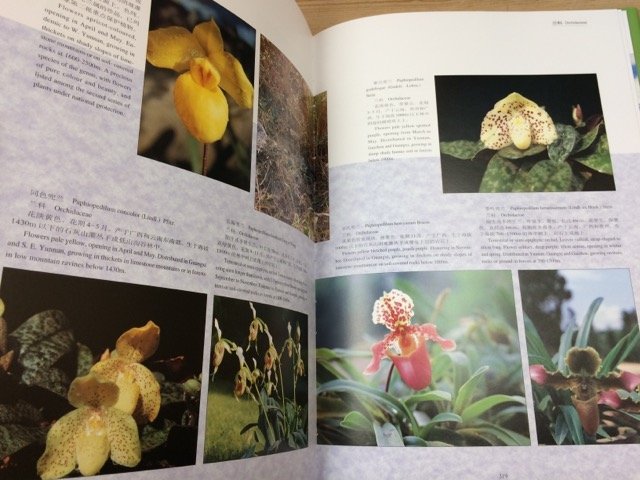  foreign book / China . natural flower .Wild Flowers of China/ large book@1996 year CEA799