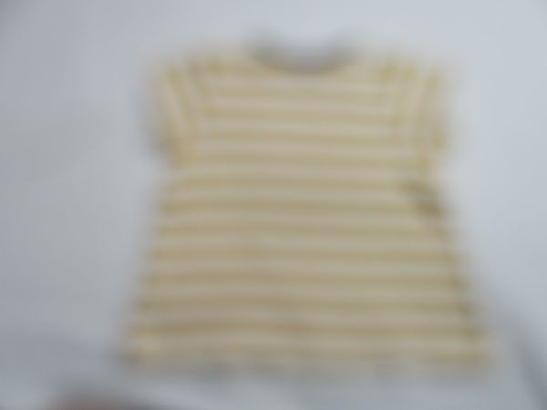 BE157[tinkerbell* Tinkerbell ] print border short sleeves T-shirt woman .. orange * white 100