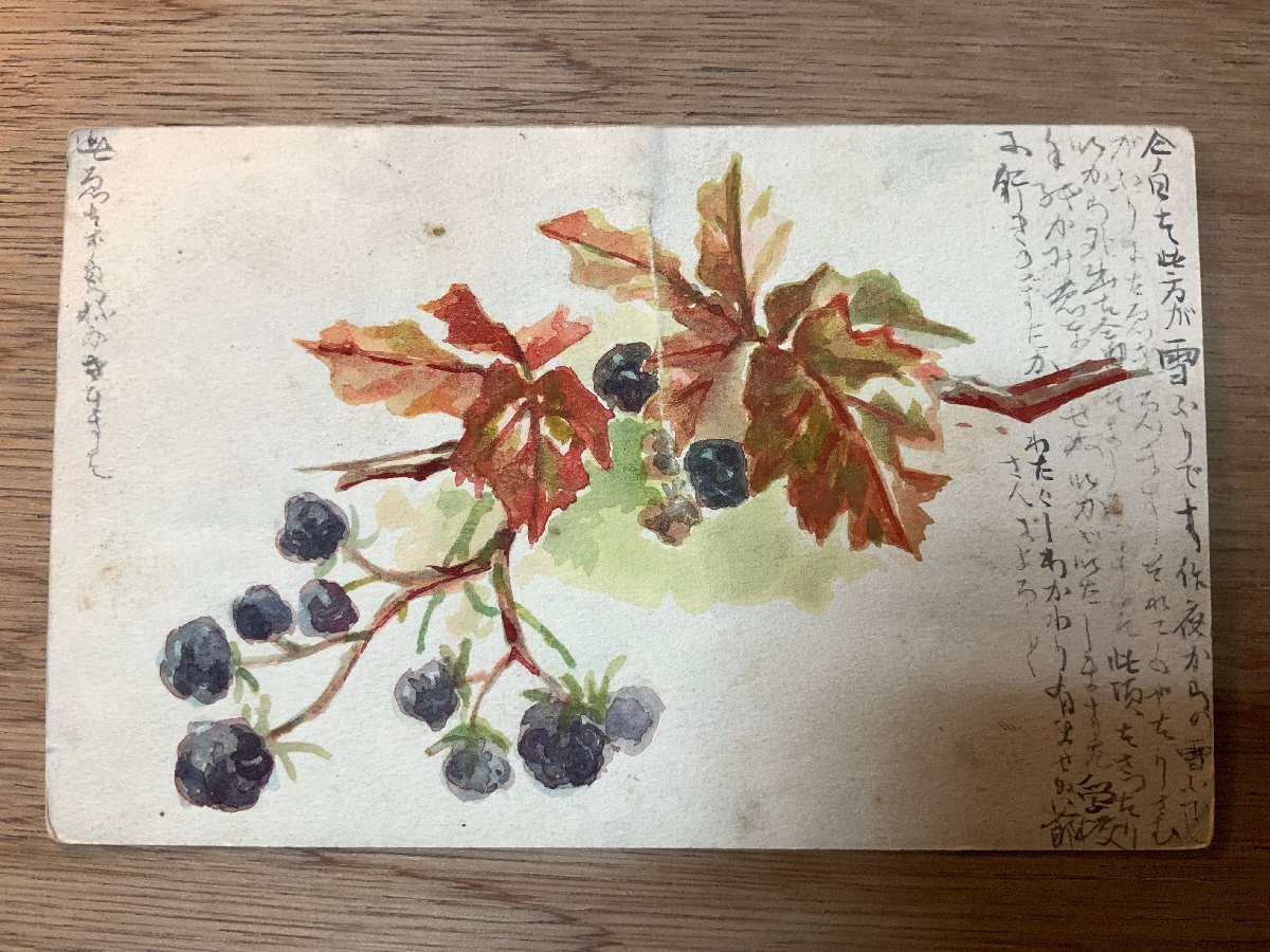 PP-2041 # free shipping # fruits real . fine art picture illustration hand .. entire letter stamp * breaking have picture postcard photograph printed matter old photograph /.NA.