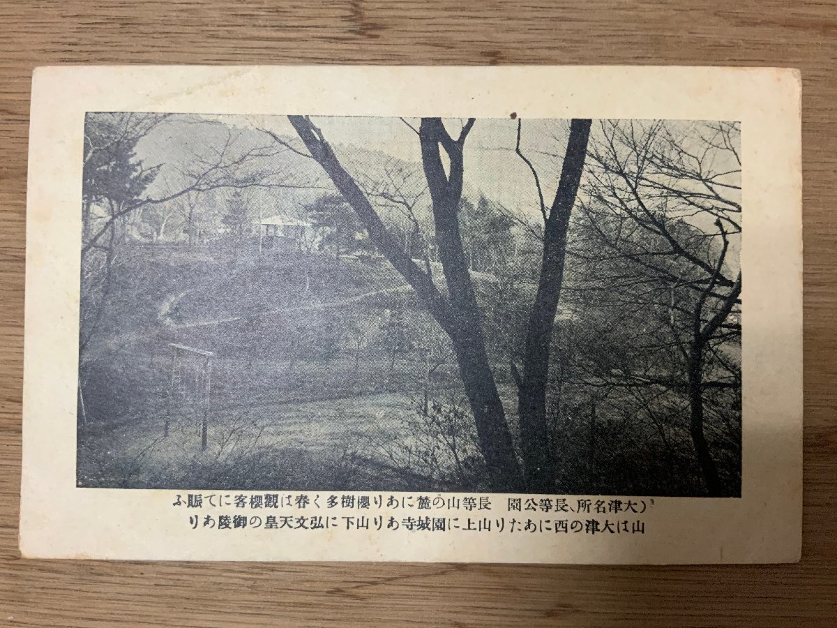 PP-3180 ■送料無料■ 滋賀県 大津 長等公園 長等山 桜 櫻 絵葉書 写真 印刷物 古写真/くNAら_画像1