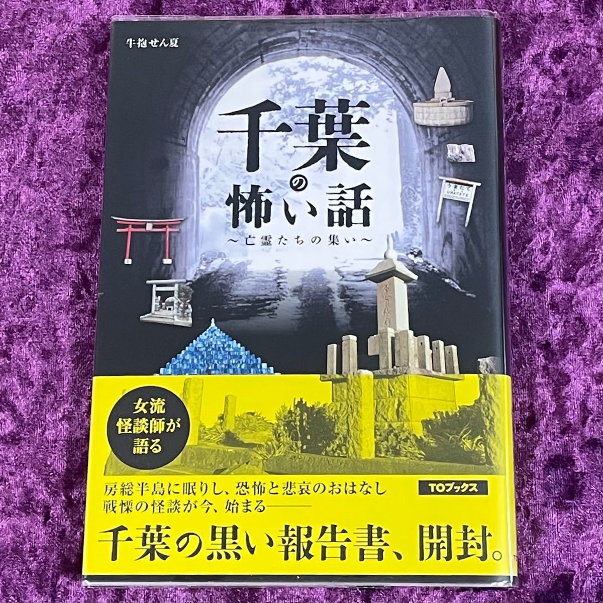 千葉の怖い話―亡霊たちの集い/牛抱せん夏|Yahoo!フリマ(旧 千葉の怖い話―亡霊たちの集い/牛抱せん夏|Yahoo!フリマ(旧